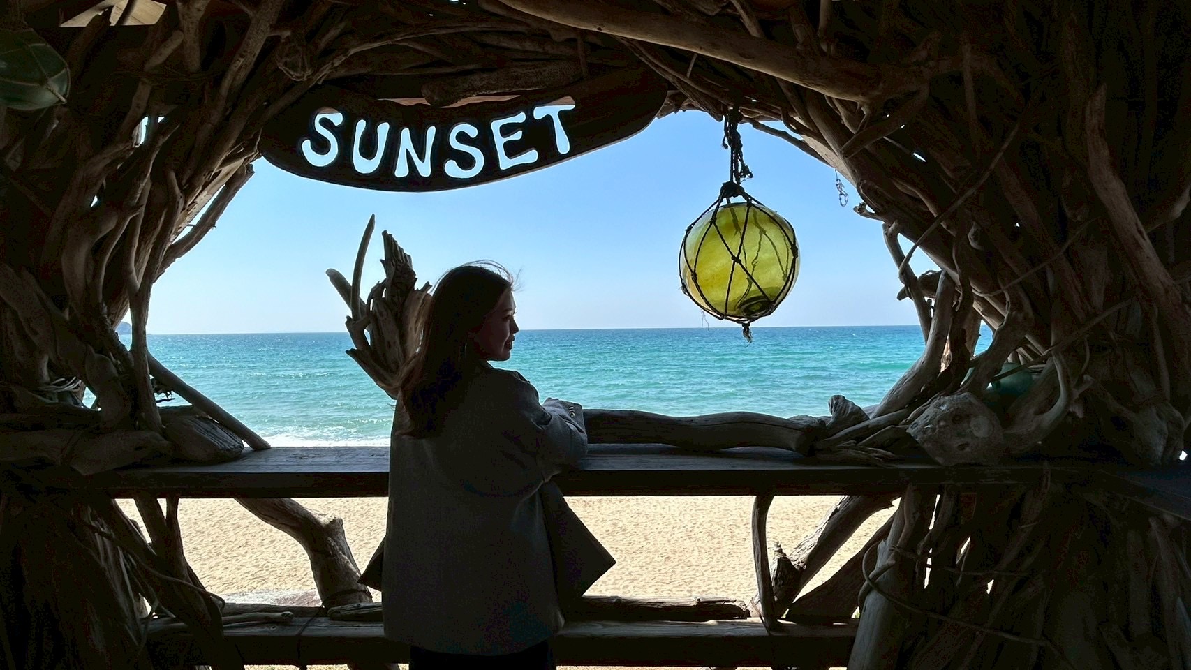 海が背景の写真